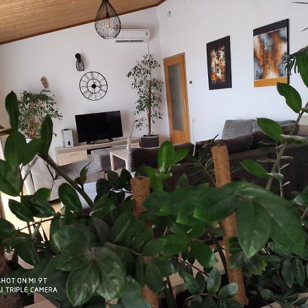 Apartment Burich Makarska Extérieur photo