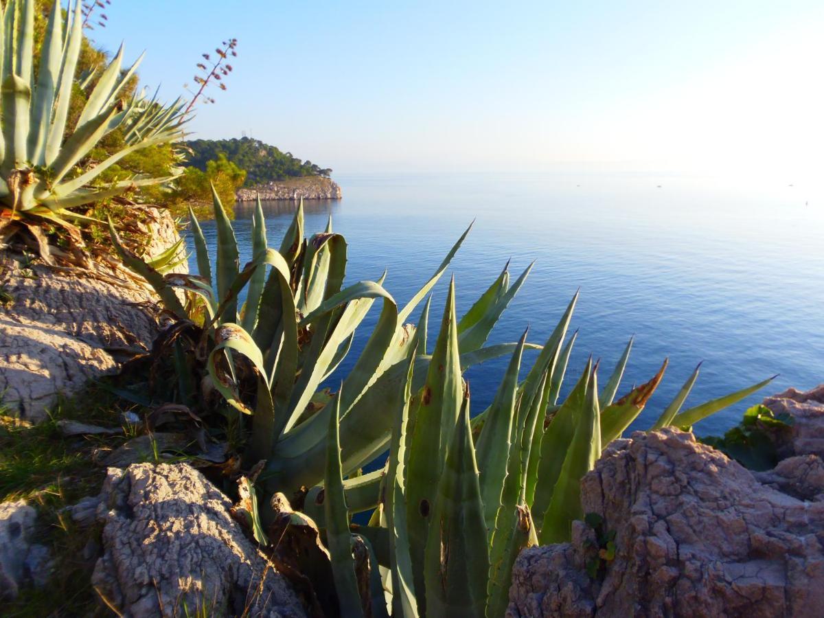 Apartment Burich Makarska Extérieur photo